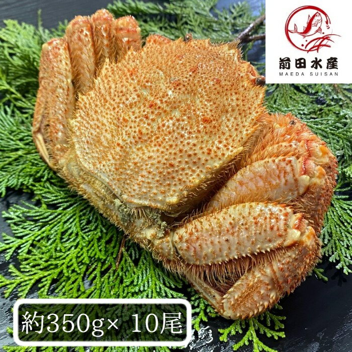 【北海道産】毛蟹　10尾セット（1尾約300g）　ボイル済...