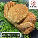 【北海道産】毛蟹 10尾セット(1尾約300g) ボイル済み 冷凍 毛ガニ けがに 毛がに 蟹 かに 道産品 お歳暮 お祝い 父の日 母の日 コロナ 応援 備蓄...