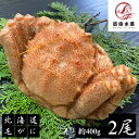 【北海道産】毛蟹 2尾(約400g前後サイズ) 付け足 ボイル済み 冷凍 毛ガニ けがに 毛がに 蟹 かに 道産品 お歳暮 お祝い 父の日 母の日 コロナ 応...
