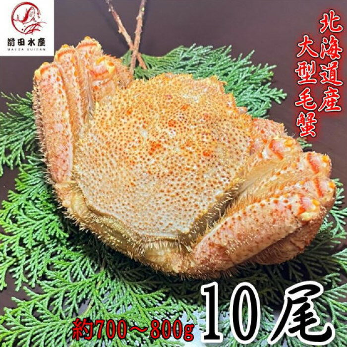 【ギフト】大型毛蟹 10尾(700-800gサイズ) 北海道産 ボイル 付け足 一部訳あり 冷凍 お中元 お歳暮 母の日 父の日 フードロス 毛蟹 毛ガニ けが...