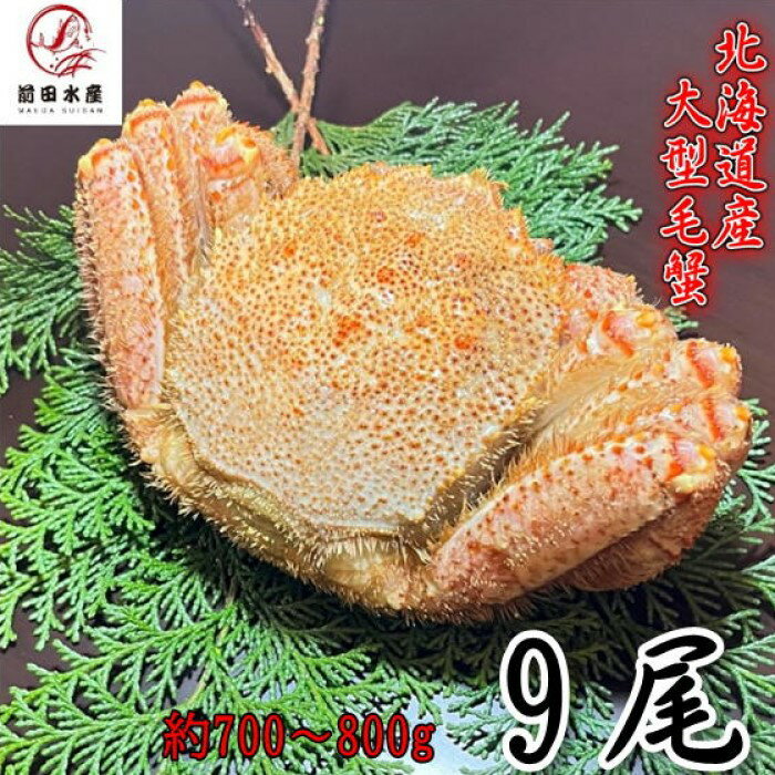 【ギフト】大型毛蟹 9尾(700-800gサイズ) 北海道産 ボイル 付け足 一部訳あり 冷凍 お中元 お歳暮 母の日 父の日 フードロス 毛蟹 毛ガニ けがに