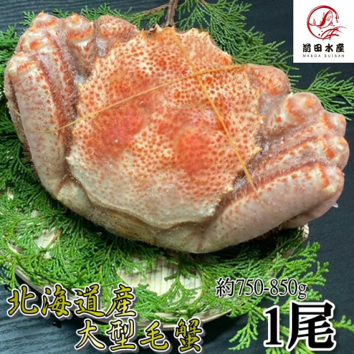 【訳あり】大型毛蟹　1尾（750-850gサ
