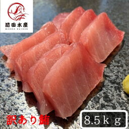 【北海道直送】訳あり　天然　メバチマグロ　8.5kg　大きさ不揃い詰め合わせ！　メガ盛り　ご自宅食べ放題（わけあり　ワケアリ　訳アリ　マグロ　まぐろ　鮪　バチ　まぐろ丼　お歳暮　お中元　内祝い　お祝い　母の日　父の日　コロナ　応援）