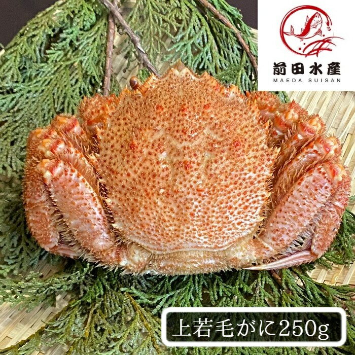 【希少!】毛がに 約250〜300g 1尾 ボイル済み 冷凍 小小蟹 お取り寄せ グルメ 訳あり 毛蟹 けがに 蟹 買い回り