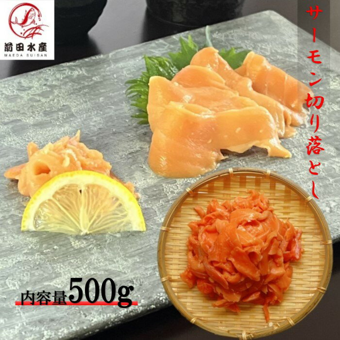 【訳あり】サーモン切り落とし 500g お刺身用 冷凍 端材 B品 わけあり トラウトサーモン 鮭 サケ さけ 母の日 父の日 お中元 敬老