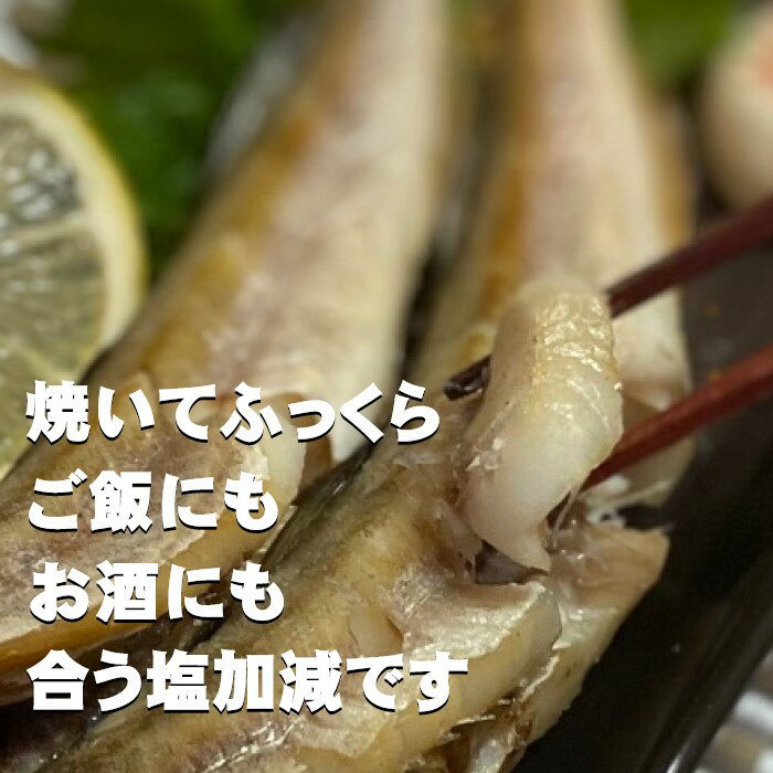 たら明太500g〔E〕たら・鱈・タラ・たらこ・タラコ・鱈子・明太子