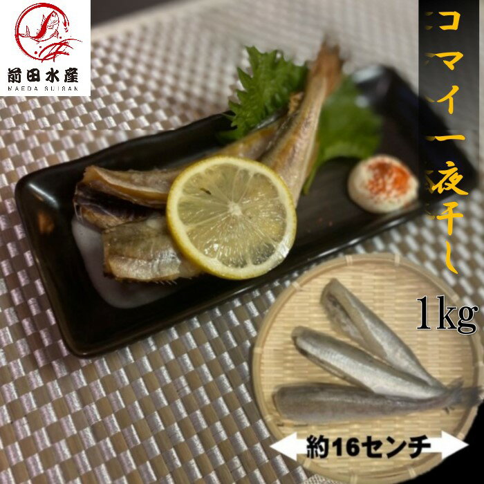 【北海道産】コマイ一夜干し 1kg(約10~16尾入れ) 冷凍 北海道定番干物! ほっけやいかの一夜干しも良いですがこちらもおすすめ!