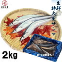 【旬!】生鮮 特大 生サンマ 2kg(約12尾前後入れ) 秋刀魚 さんま 北海道産 市場良品入荷時発送 秋の味覚 秋ギフト ギフト