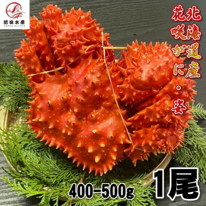 【訳あり】花咲がに　1尾（約400−500gサイズ）　ボイル　北海道産　花咲ガニ　花咲きがに　蟹　かに　母の日　父の日　お中元　お歳暮