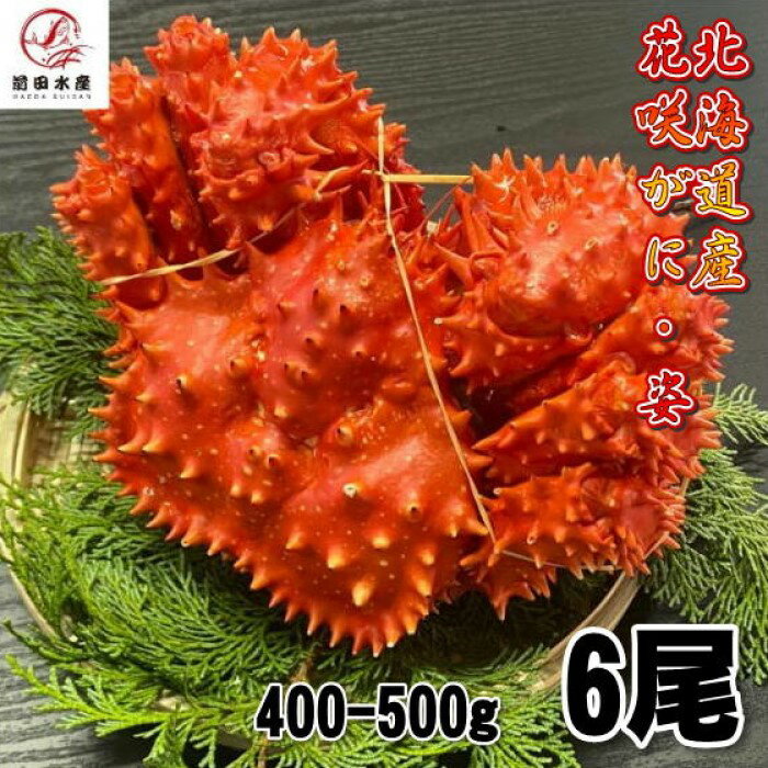 【訳あり】花咲がに　6尾（約400−500gサイズ）　ボイル　北海道産　花咲ガニ　花咲きがに　蟹　かに　..
