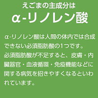 国産えごまパウダー1袋120g必須脂肪酸α-リノレン酸