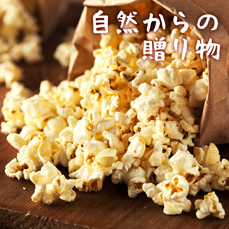 【送料無料】国産ポップコーン400g北海道産希少とうもろこしコーン無添加無着色無油ポイント消化【RichLife】