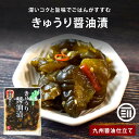 辛子高菜 選べる2袋 4袋 明太子入高菜 高菜漬け 送料無料 博多 福岡 九州産 帰省土産 旅行土産 おかず たかな ご飯のお供 おつまみ お土産 ギフト ポイント消化 名産品 [メール便]