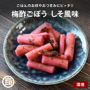 【セール限定 10%OFFクーポン有】前田家 国産 梅酢ごぼう しそ風味 赤梅酢 梅酢 シャキシャキ食感 若ごぼう 早掘りごぼう 和歌山県産 梅 乳酸発酵 ご飯のお供 おかず おつまみ 朝食 ヘルシー 低カロリー 食物繊維 小袋 一人暮らし 家庭用 メール便 送料無料 MAEDAYA