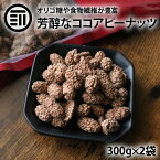 前田家 ココアピー 計600g 300g×2袋 ココアピーナッツ ここあぴーなっつ コーティング 落花生 豆菓子 ココアフレーバー やみつき おやつ おつまみ お菓子 スイーツ ココアパウダー ココアコーティング 駄菓子 お徳用 訳あり 家庭用 業務用 送料無料