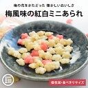 【15%OFFクーポン有】【レビュー特典有】 前田家 うめ風味の紅白ミニあられ 小粒 個包装 ミニ梅 国産米 国内加工 おかき 米菓 和風 せんべい おつまみ ...