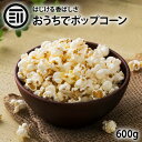 ポップコーン 600g お徳用 とうもろこし コーン 海外菓子 スナック菓子 オンライン飲み会 映画のお供 ポイント消化 買い回り 送料無料