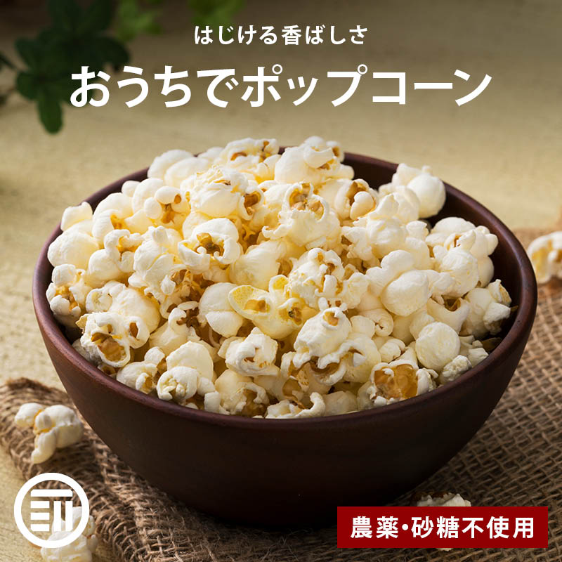 ポイント3倍 前田家 ポップコーン お徳用 とうもろこし コーン 海外菓子 スナック菓子 オンライン飲み会 映画のお供 ポイント消化 買い回り 送料無料