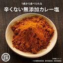 前田家 無添加 辛くないカレー塩 100