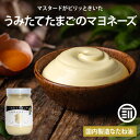 【10%OFFクーポン有】ひなたまこっこ 無添加 生命のマヨネーズ 瓶入り 保存料・化学調味料不使用 国内製造 自社農場 阿蘇産 いのちのマヨネーズ マスタード...