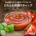 【500円OFFレビュー特典あり】先着10名様限定 前田家 無添加 トマトケチャップ パウチ 減塩 保存料不使用 熊本県産 国産 九州産 甘味 スパイス トマト パスタ ナポリタン ピザソース トマトソース ハンバーグ ウインナー 卵料理 自然食品 家庭用 送料無料 MAEDAYA