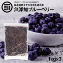 [ポイント3倍] 前田家 無添加 ブルーベリー 冷凍 計3kg 1kg×3袋 国産 熊本県産 ばら  ...