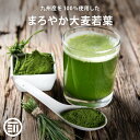 [ポイント3倍] 前田家 無添加 青汁 大麦若葉粉末 100g 有機 国産 九州産 純国産 オーガニック あおじる 野菜不足 野菜摂取 ドリンク 食物繊維 ビタミン ミネラル サプリ 健康食品 健康飲料 家庭用 業務用 メール便 送料無料