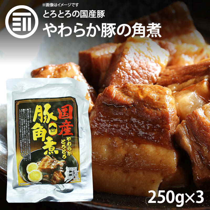 やわらかとろとろ 豚角煮 計750g 250gx3袋 国産豚