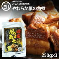 やわらかとろとろ 豚角煮 計750g 250gx3袋 国産豚 豚の角煮 煮豚 煮込み料理 豚肉 ...