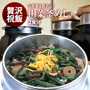 国産 | 山菜釜飯 の具 （ 2人前 ）| 