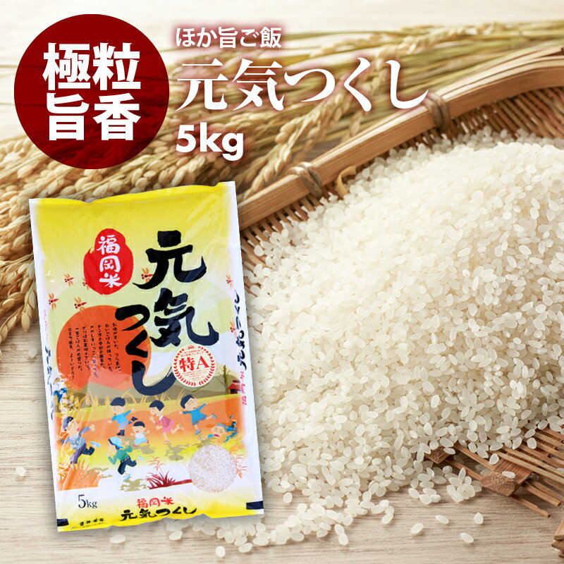 10%OFFクーポン有 無洗米 プロが選ぶ一等 米 食味ランクA 元気つくし 5kg　平成30年産 精米　福岡県産