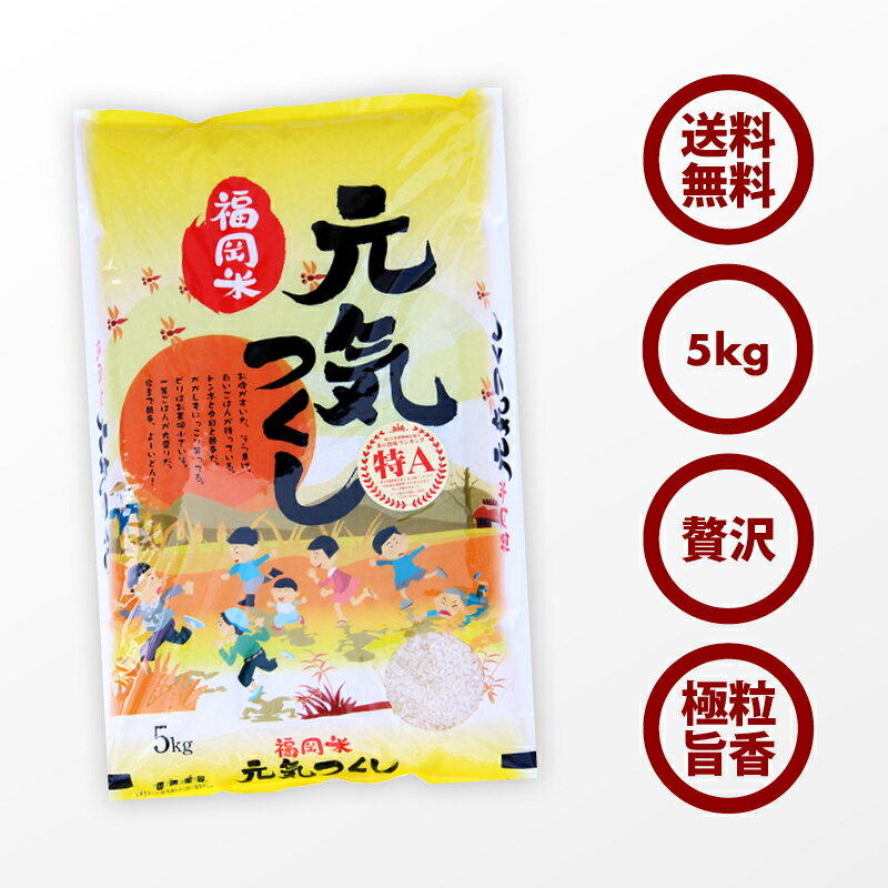 10%OFFクーポン有 無洗米 プロが選ぶ一等 米 食味ランクA 元気つくし 5kg　平成30年産 精米　福岡県産