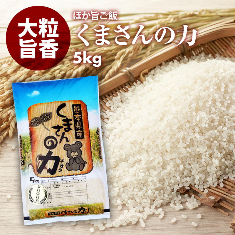 無洗米 プロが選ぶ厳選 一等米　米 食味ランク 特A くまさんの力 5kg 精米　熊本県産 送料無料