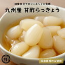 【15%OFFクーポン有】前田家 無添加 らっきょう 甘酢 蜂蜜入り 国産 九州産 着色料不使用 保存料不使用 プレミアム カレー チャーハン おつまみ ポイン...