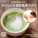 [ポイント3倍] 前田家 無添加 牛乳でつくる青汁ラテ 国産 九州産 大麦若葉 有機青汁 粉末 こども 子供 飲みやすい あおじる 野菜不足 食物繊維 ビタミン ミネラル 健康食品 健康飲料 家庭用 業務用 メール便 送料無料