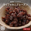 ドライワイルドブルーベリー　500g　【菓子材料・パン材料・ドライフルーツ・ブルーベリー】