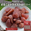 【セール限定 10%OFFクーポン有】前田家 ドライストロベリー 130g/270g/500g ドライフルーツ ドライ いちご ヨーグルト 1000円ポッキリ 送料無料 メール便 MAEDAYA