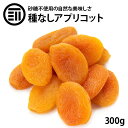 前田家 ドライアプリコット 300g 送料無料 ドライフルーツ アプリコット トルコ産 乾燥果物 ドライアンズ アンズ 杏 あんず ドライ フルーツ 砂糖不使用 クエン酸 βカロテン 大容量 お徳用 買い回り 送料無料