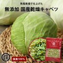 【セール限定 10%OFFクーポン有】前田家 無添加 乾燥キャベツ 250g 国産 ベジタブル 食物繊維 ドライ野菜 みそ汁 味噌汁 スープの具 インスタント ...