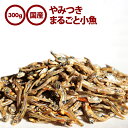 前田家 まるごと小魚 瀬戸内産カタクチイワシ使用 300g 国産 やみつき おつまみ おやつ お徳用 業務用 珍味 ビール お酒 ワイン ウィスキー など ポイント消化 買い回り 送料無料