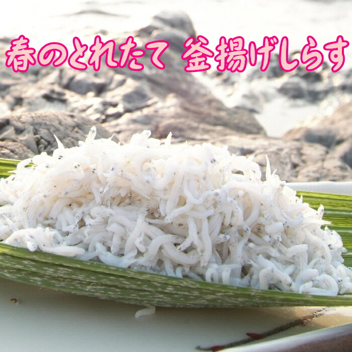 しらすせんべい 花ちりめん (10g)×5袋 ちりめんじゃこ しらす干し 国産 鹿児島産 カルシウム 無添加 おつまみ お土産 ギフト プレゼント 贈答 ちりめん・しらす専門店 凪 かごしまや