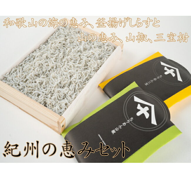 しらす、ちりめん山椒など紀州の自然の恵みが詰まったギフトセット 紀州の恵みセット 産地直送 和歌山県産 老舗しらす屋 無添加 湯浅 ギフト進物 贈り物 健康 製造直売