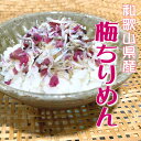 和歌山県産 カリカリ梅ちりめん 80g 産地直送 老舗しらす屋 無添加 湯浅 家庭用 健康 製造直売