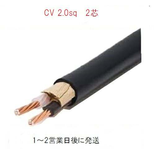 600V CV 2SQx2C 10m巻 ケーブル 電線 CV2 2芯 cv2sq フジクラ 住電日立