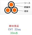 即日発送　CVT22SQx3C　30m巻 フジクラ　住電日立 電線　ケーブル　CVT22