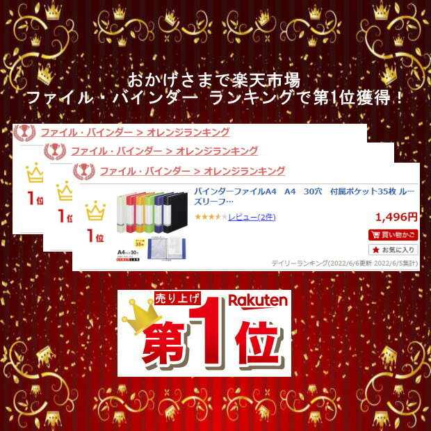 【楽天1位】バインダーファイル A4 30穴 付属ポケット35枚 大容量 クリアーポケットが沢山収納できる クリアーブック ルーズリーフ リヒトラブ G3803