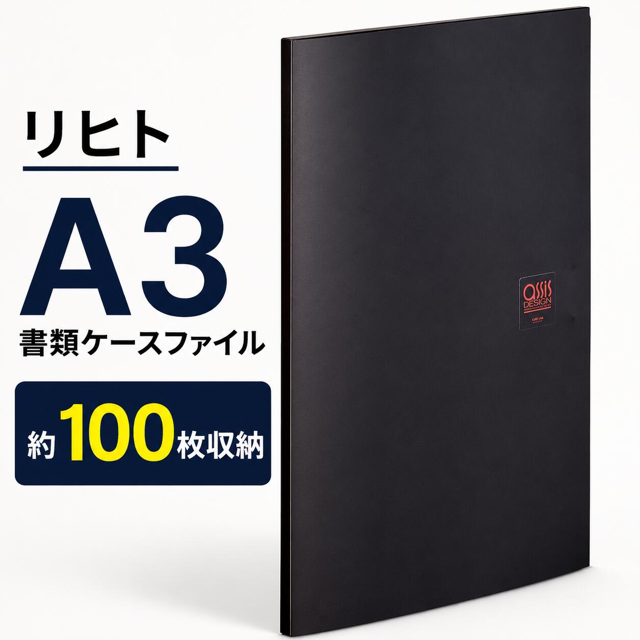ケースファイル A3 A-751 黒 図面ファイル 作品ファイル 持ち運び スリム 薄型 書類ケース ポートフォリオ デッサン 画用紙 収納 100枚収容 リヒトラブ