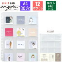 コレクションポケット ワイド A4サイズ30穴 PP製 12ポケット 10枚入り 推し活収納 オタ活リヒトラブ N-3307