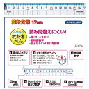 算数直線定規17cm まっすぐ線がかきやすい学習定規 方眼目盛付き 小学生 低学年 授業 小学校推奨 HS17A クツワ