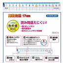 算数直線定規17cm まっすぐ線がかきやすい学習定規 方眼目盛付き 小学生 低学年 授業 小学校推奨 HS17A クツワ